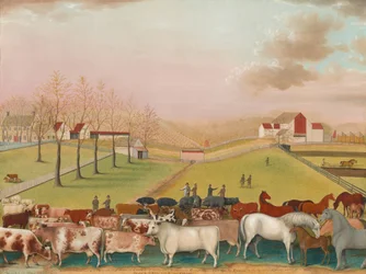 Die Cornell-Farm