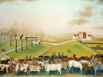 Die Cornell Farm