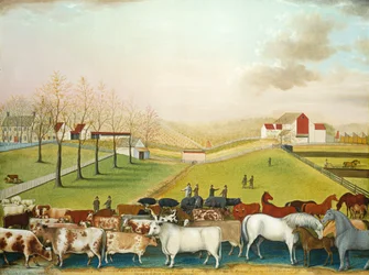 Die Cornell-Farm