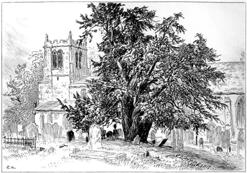 Kirche von Snitterfield, Snitterfield, Warwickshire, 1885