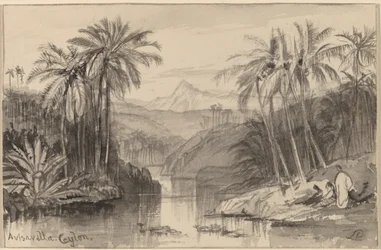 Avisavella, Ceylon