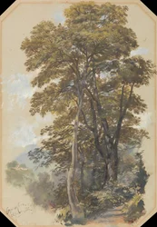 Corpo di Cava, 28. Juni 1838