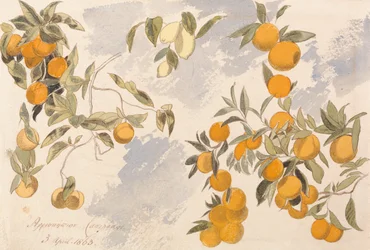 Obstbäume, 3. April 1863