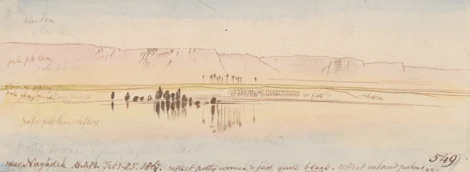 In der Nähe von Negadeh; 8:00 Uhr, 25. Feb. 1867 (549)