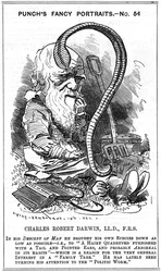 Charles Darwin, englischer Naturforscher, 1881