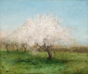 Apfelbäume auf einer Wiese 1890