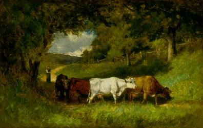 Die Kühe nach Hause treiben