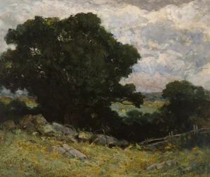Landschaft
