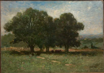 Landschaft