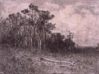 Landschaft, Waldszene