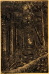 Landschaft mit Weg durch den Wald