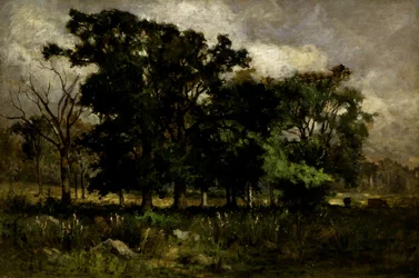Baumlandschaft