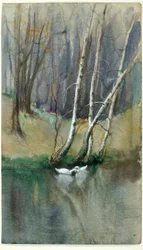 Ohne Titel (Waldszene mit Birken und Enten)