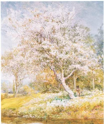 Blumen pflücken
