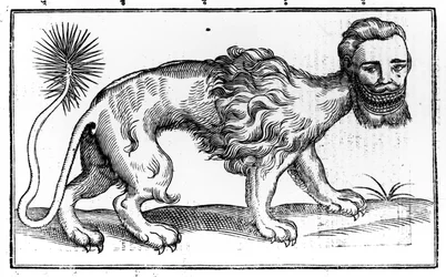Manticore aus 