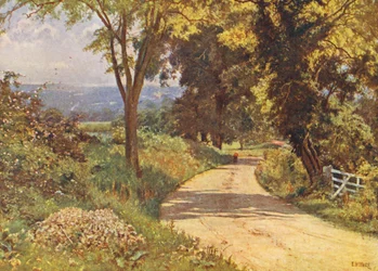 Mein Weg