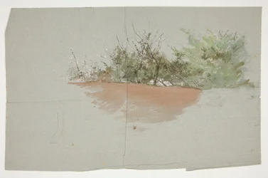 Landschaft mit Bäumen