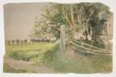 Landschaft mit Bäumen und kaputtem Zaun
