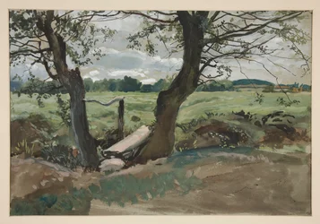 Studie von zwei Bäumen und einem Feld