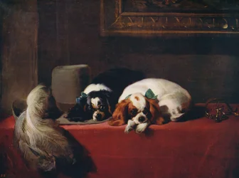 King Charles Spaniels, die Haustiere der Kavaliere, 1845