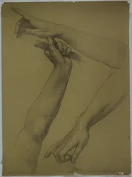 Drei Studien von Armen