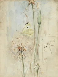 Schmetterling und Distelflaum