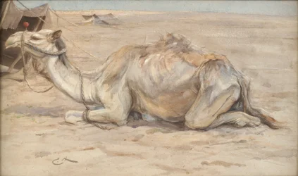 Kamel im Lager des Künstlers mit Beduinen