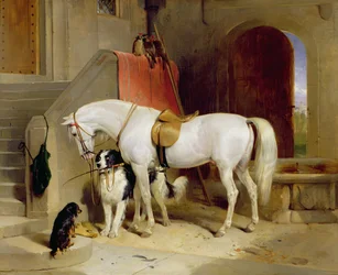 Die Favoriten von Prinz George