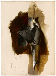 Studie eines toten Reihers, um 1832-33