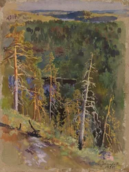 Waldlandschaft