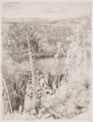 Landschaft von Koli; Waldlandschaft von Räsävaara