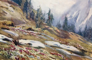 Schweiz