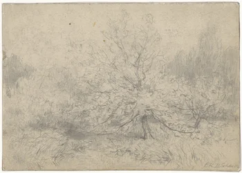 Landschaft mit einem Baum prominent in der Mitte