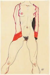 Weiblicher Torso
