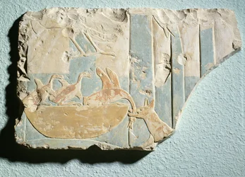 Relief, das einen Überfall eines hundeähnlichen Tieres auf ein Vogelnest darstellt, aus dem Totentempel von König Montuhotep II, Mittleres Reich