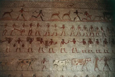 Beni-Hasan Nekropole. Grab des Amenemhat, (Detail)
