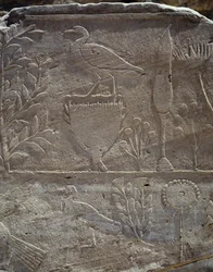 Detail aus der Szene, die die Expedition ins Land Punt darstellt, Kolonnade von Punt, Totentempel der Königin Hatschepsut, Deir el-Bahari, Thebanische Nekropole (Unesco-Welterbeliste)