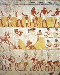 Arbeiten auf den Feldern, Grab des königlichen Gutsverwalters Menna, Theben, Luxor, Ägypten