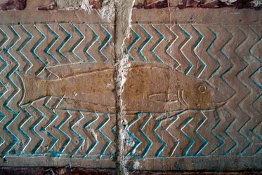 Fische, Szenen des Punt-Königreichs, Südwand der zentralen Kolonnade, Totentempel von Hatschepsut, Deir el-Bahari, Thebanische Nekropole (UNESCO-Welterbeliste)