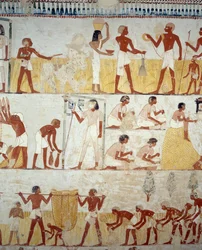 Ernte, Dreschen und Worfeln von Getreide, Detail der Fresken im Vorraum des Grabes von Menna, Sheikh Abd el Qurnah Nekropole, Luxor, Theben (Unesco-Welterbeliste)