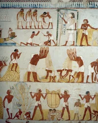 Ernte, Dreschen und Worfeln von Getreide (Detail)