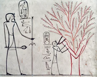 Isis, die sich in einen Sykomorenbaum verwandelt und Tuthmosis III. (ca. 1479-1425 v. Chr.) säugt (Wandmalerei)