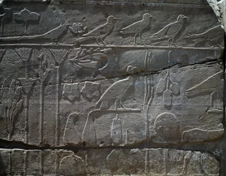Pflanzen und Tiere, die von Thutmosis III. Expedition nach Syrien im Jahr 1465 v. Chr. zurückgebracht wurden, Detail des Reliefs, Halle, bekannt als der sogenannte Botanische Garten, Tempel des Amun, Karnak-Tempelkomplex, ägyptische Zivilisation, Neues Rei