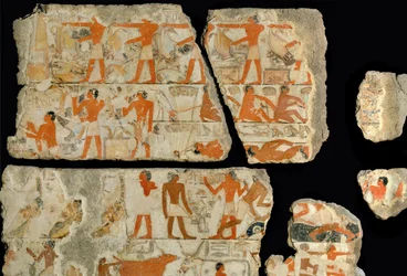 Szene in den Sümpfen des Nils ...