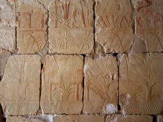 Vegetation, Detail der Szene, die die Expedition ins Land Punt darstellt, bemaltes Relief, Kolonnade von Punt, Totentempel der Hatschepsut, Deir el-Bahari, Thebanische Nekropole (Unesco-Welterbeliste)