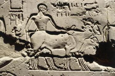 Ägypten Antike bes, Luxor, Luxor-Tempel, Hof von Ramses II, Relief, Neues Reich, Dynastie XIX (1290-1224 v. Chr.)