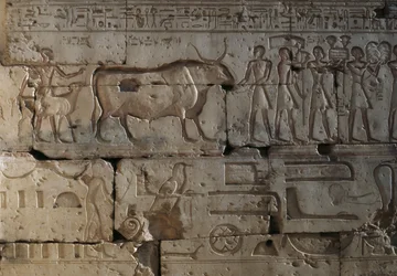 Relief, Tempel von Ramses II, Abydos, Ägypten, ägyptische Zivilisation, Neues Reich, Dynastie XIX