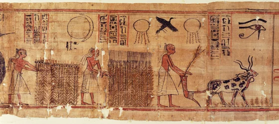 Totenbuch des Neb-Hepet, Detail der Felder