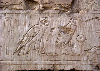 Ägyptische Antike: Relief, das eine Eule und einen Adler darstellt. Grab von Ankh-Hor (Ankh Hor) (TT414) (26. Dynastie, 672-525 v. Chr.), Luxor (Theben), Ägypten