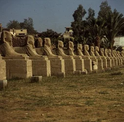 Allee der Sphinxe, hinzugefügt von Nektanebos I (380-362 v. Chr.)